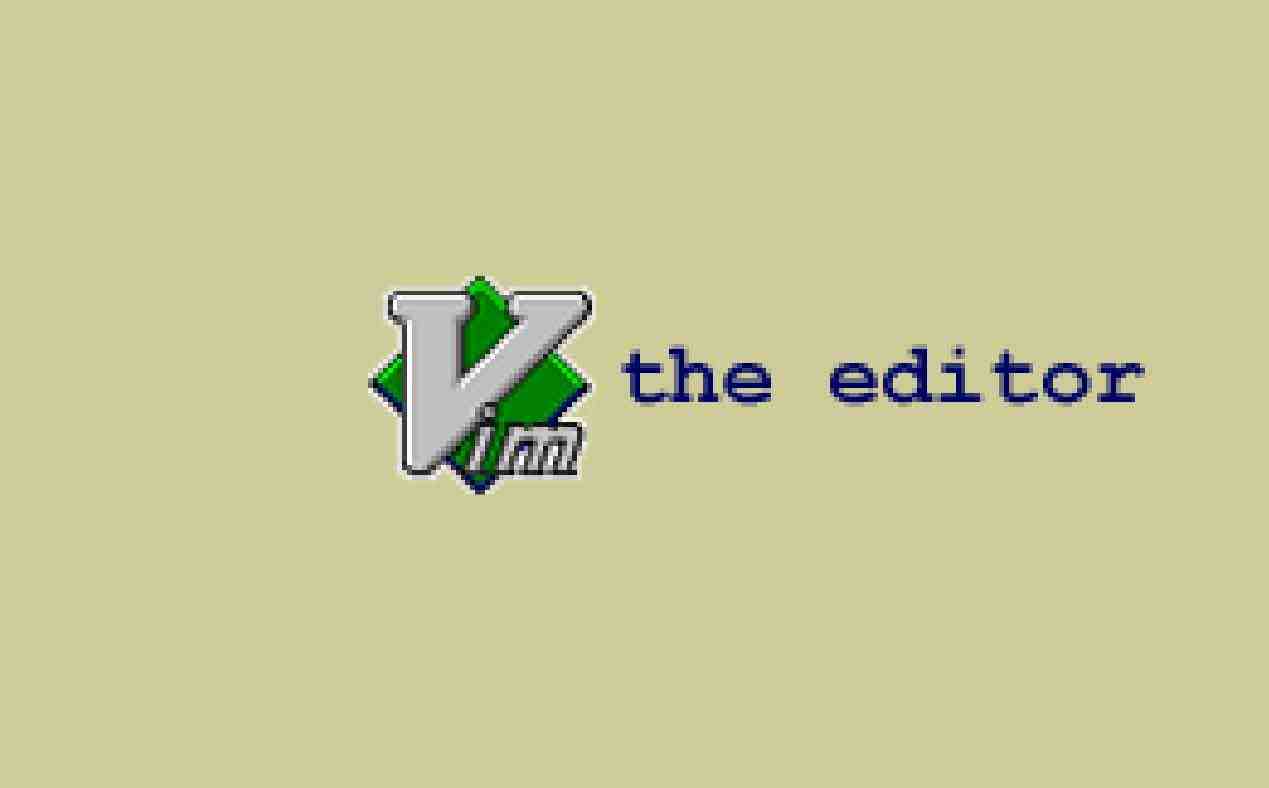 vim